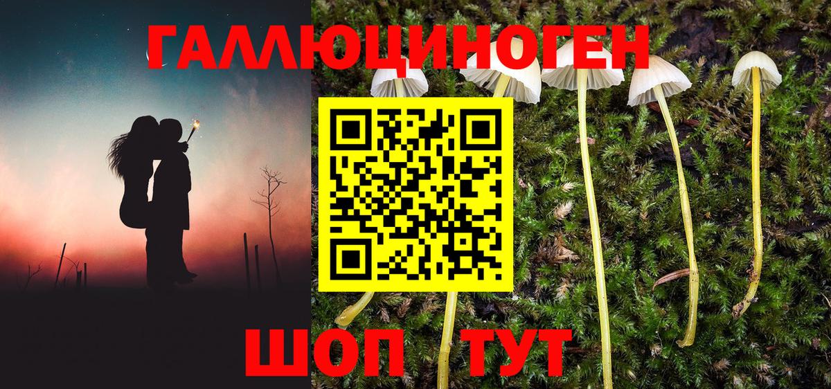 Ноябрьск  Псилоцибиновые грибы MAGIC MUSHROOMS  Вход с VPN  Галлюциногенные грибы Cubensis 